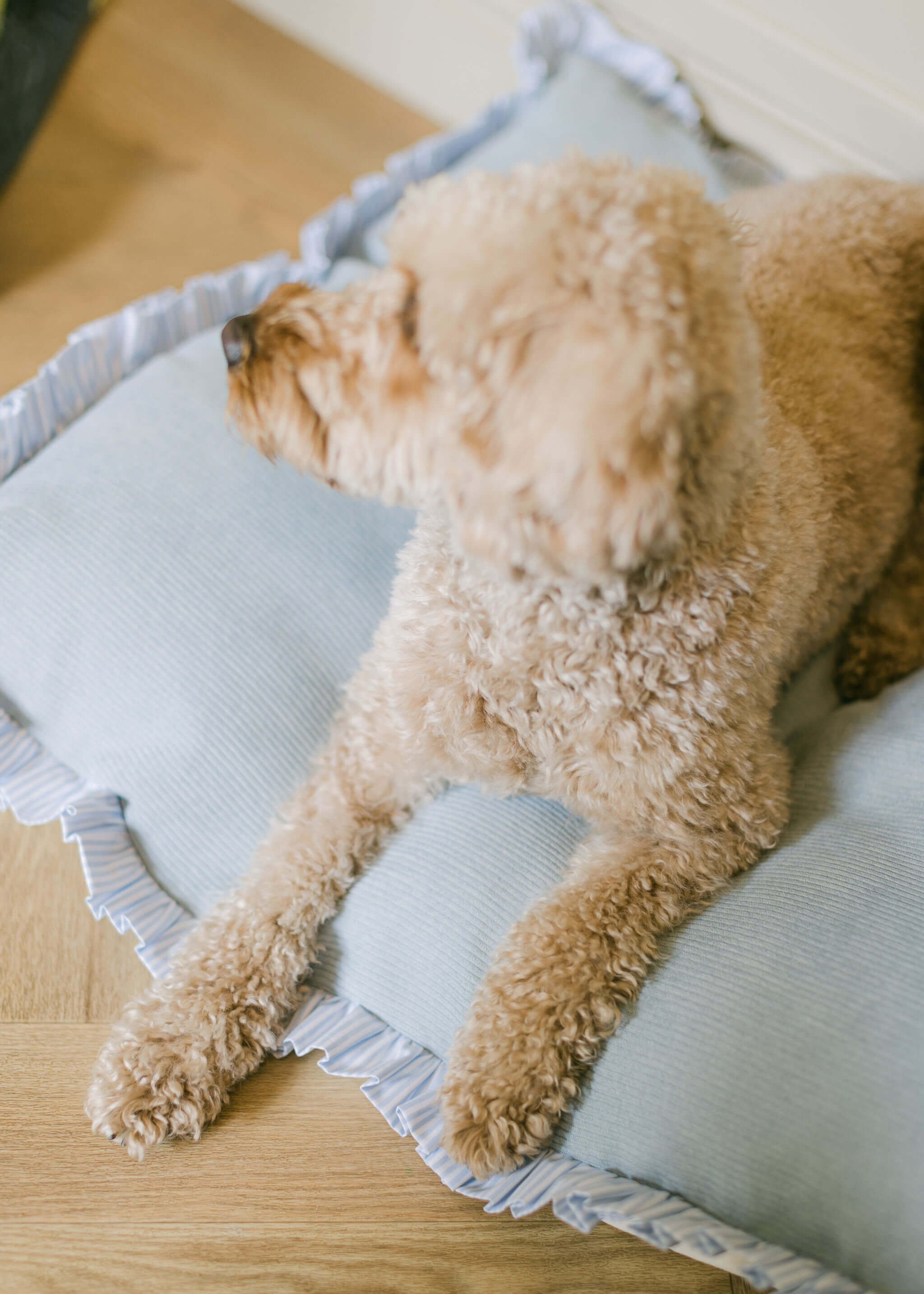 Paloma's Products Luxury Handmade Cord and Striped Dog Bed Cushion