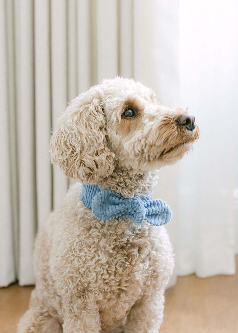 Palomas Products Light Blue Jumbo Cord Necktie