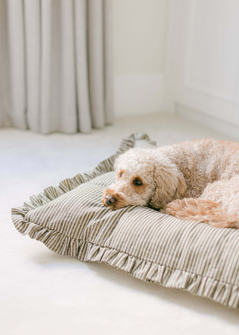 Palomas Products Dark Grey Striped Limited Edition Fermoie Fabrics Dog Bed Cushions  