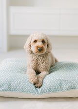 Palomas Products Blue Rabanna Limited Edition Fermoie Fabrics Dog Bed Cushions 