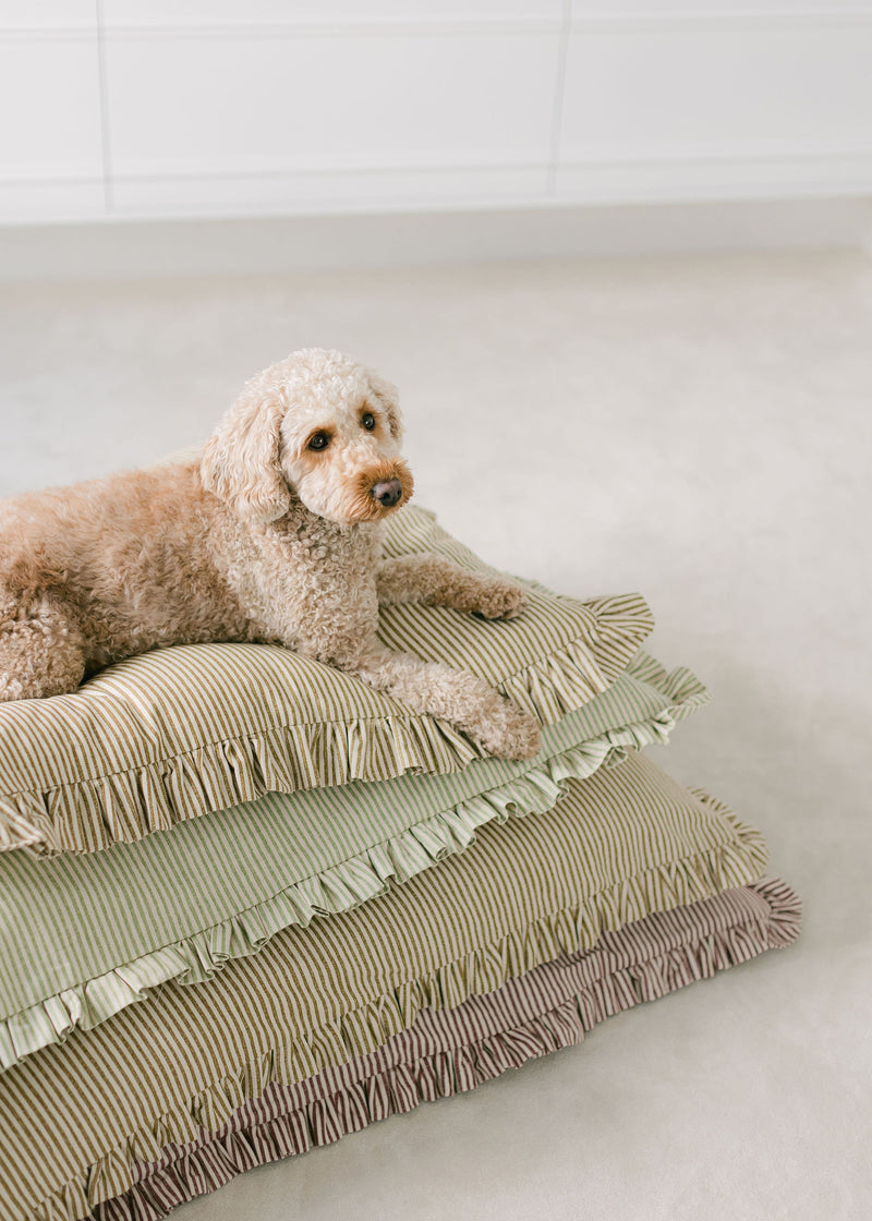 Palomas Products Striped Limited Edition Fermoie Fabrics Dog Bed Cushions 
